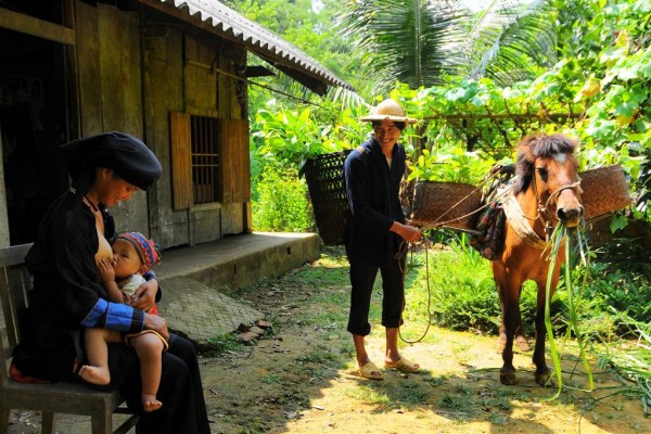 bac kan travel, tour from hanoi to bac kan, how go to bac kan