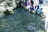 Cam Luong Fish Spring, Thanh Hoa, Thanh Hoa City