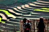 Cat Cat Village, Lao Cai, Sapa