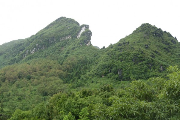 Ham Rong Mountain, Lao Cai