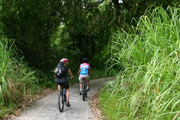 Nam Cat Tien National Park, Nam Cat Tien National Park Trekking Tour