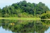 Nam Cat Tien National Park, Nam Cat Tien National Park in Vietnam