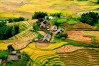 Sapa, Lao Cai, Lao Cai Travel