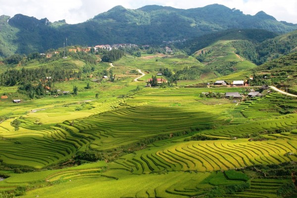 Ta Phin Village, Sapa, Lao Cai.