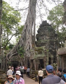 Ta Prohm Temple, Ta Prohm Temple Travel guide, Siem Reap