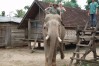 Tur Village, Buon Me Thuot, Buon Me Thuot Tour