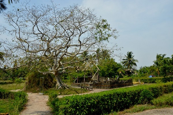 my lai travel, how travel to my lai
