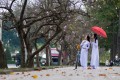 hanoi photo, hanoi overview, hanoi travel rview, hanoi tour, hanoi city tour