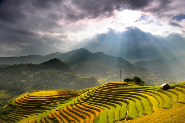 Hoang Su Phi, Hoang Su Phi in Ha Giang, Customized tour Vietnam and Cambodia, Private tour Vietnam and Cambodia