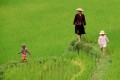 Hoang Su Phi, Hoang Su Phi Travel, Ha Giang, Vietnam tour company, Vietnam tailor made holiday, Vietnam Tours, Vietnam