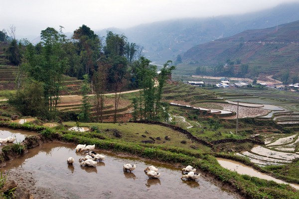 Lao Chai Village, Sapa, Sapa Tours, plan a trip to vietnam and cambodia