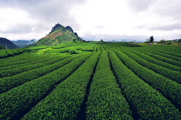 son la travel, son la vietnam travel, how travel to son la