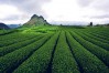 son la travel, son la vietnam travel, how travel to son la