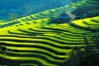tour to hoang su phi