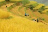 what is the best sight in the northern vietnam