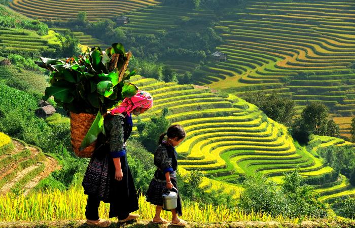 Sapa Vietnam Weather