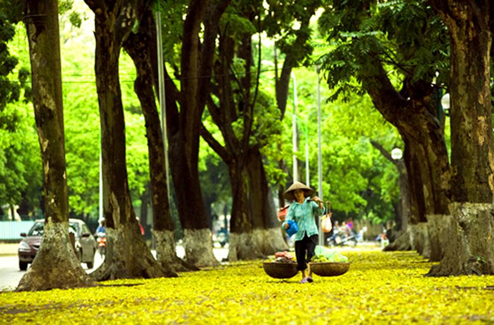 Hanoi Autumn in Phan Dinh Phung Street