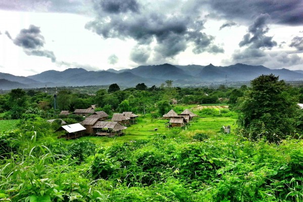 holiday, travel, bird, tour