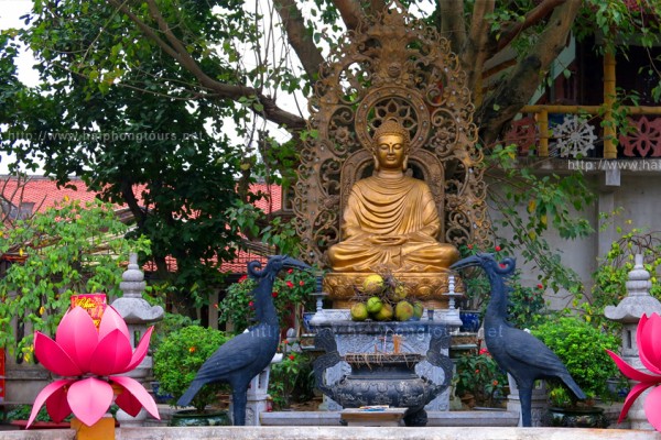 hai phong travel