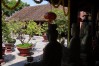 travel hai phong
