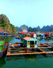 Ba Hang Fishing Village, Halong Bay, Vietnam Cruise