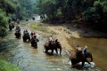 Chiang Dao Elephant Camp