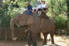 Chiang Dao Elephant Camp, Chiang Mai, Thailand