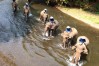 Chiang Dao Elephant Camp, Chiang Mai, Thailand