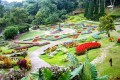 Doi Tung, Chiang Rai, Thailand