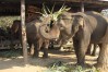 laos top tour, laos travel guide