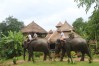 laos adventure tour, tour adventure to laos
