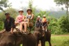 elephant riding in laos, laos tour