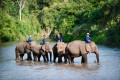 Elephant Conservation Center