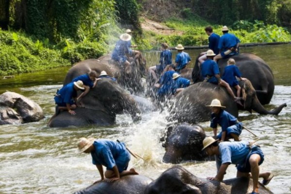 Lampang Elephant Conservation Center, Lampang, Thailand