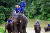 Lampang Elephant Conservation Center, Thailand