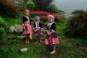 Meo Hill tribe village, Chiang Mai, Thailand