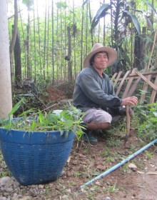 Organic Farm, Vang Vieng, Laos, laos tour, laos travel, laos holiday, holiday to laos, what visit in laos
