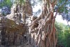 Ta Som Temple, Siem Reap, Cambodia