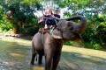 Chiang Dao Elephant Training Center