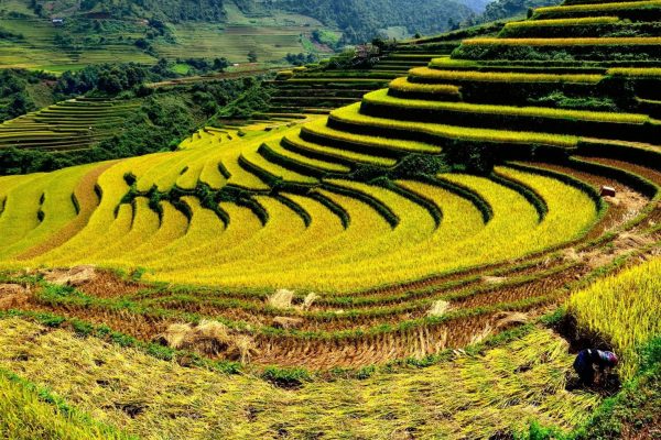 Muong Thanh Valley, Dien Bien, Vietnam