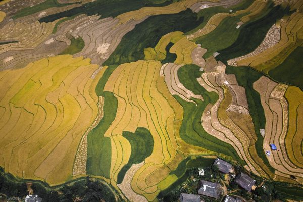 Muong Thanh Valley, Dien Bien, Vietnam