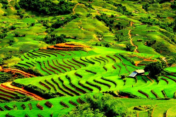 Muong Thanh Valley, Dien Bien, Vietnam