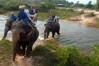 Pattaya Elephant Village