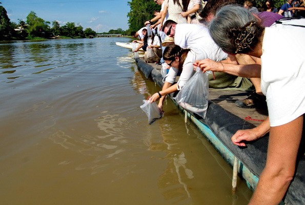 Ping River, Chiang Mai, Thailand