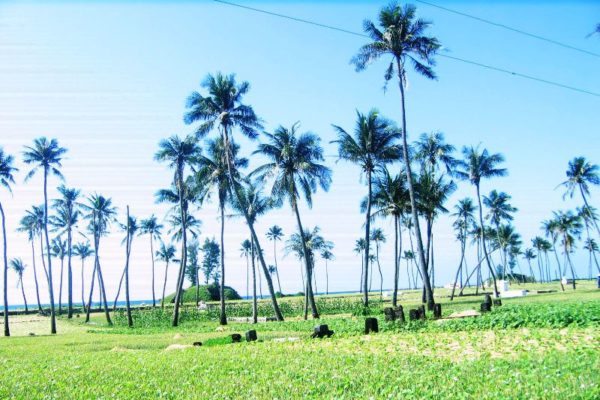 Quang Ngai, Travel Guide, Vietnam