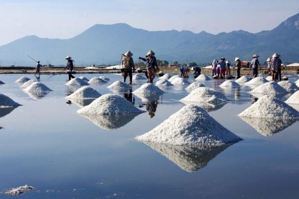 Quang Ngai, Travel Guide, Vietnam