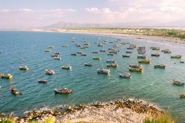 Quy Nhon, Travel Guide, Tours