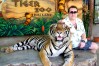 Sriracha Tiger Zoo, Pattaya, Thailand