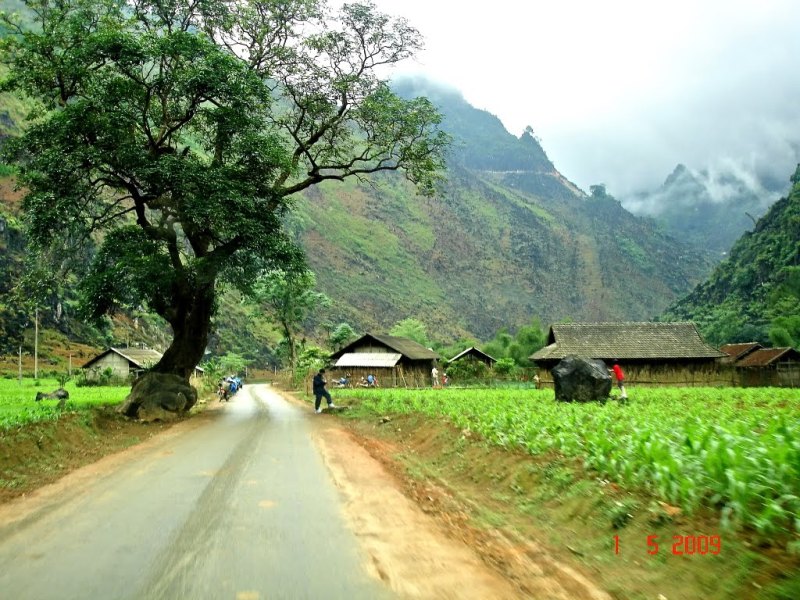 Yen Minh