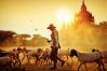 Bagan, Myanmar, Travel Guide